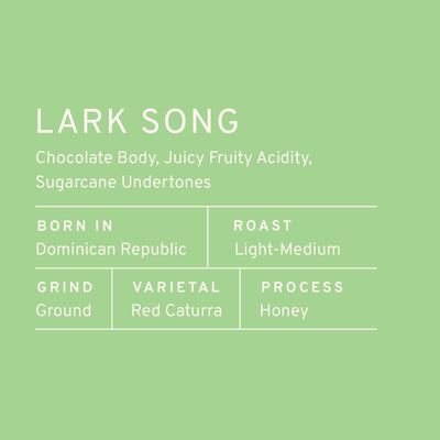 Paddle & Brew Lark Song