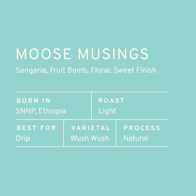 Paddle & Brew Moose Musing