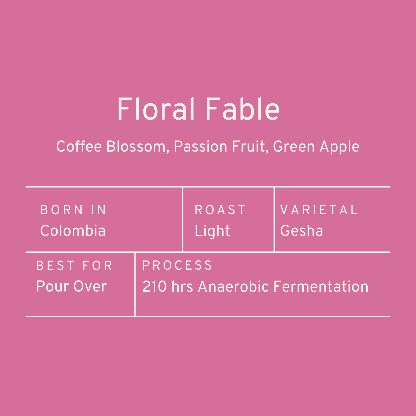 Paddle & Brew Floral Fable (Geisha)