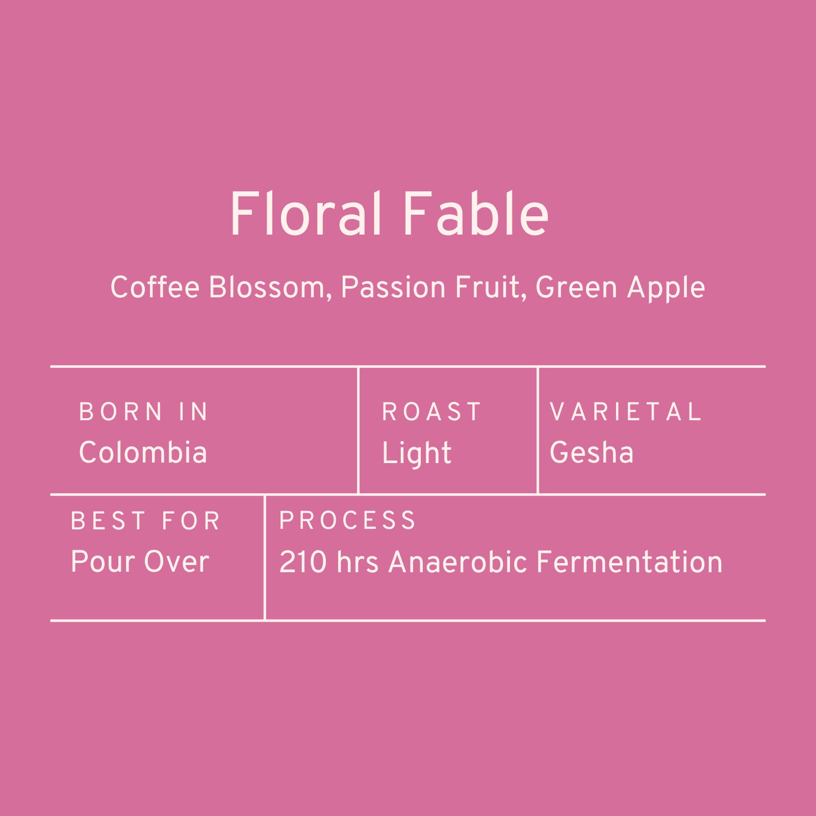 Paddle & Brew Floral Fable (Geisha)
