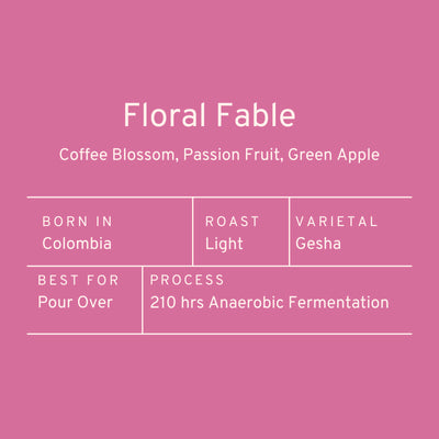 Paddle & Brew Floral Fable (Geisha)