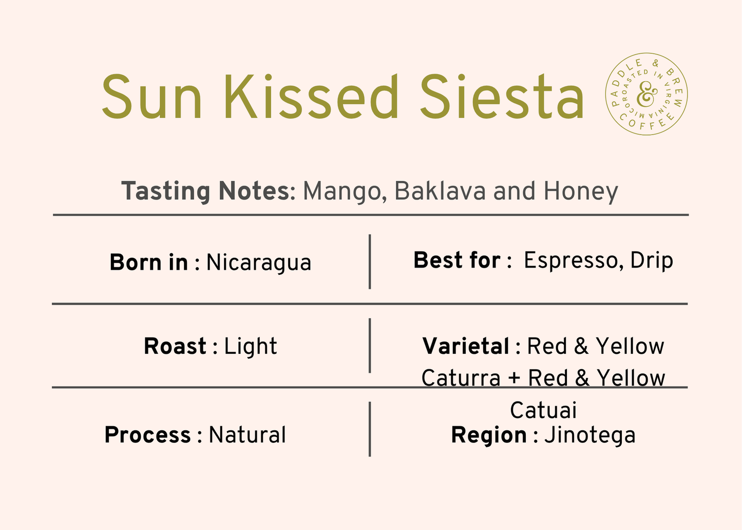 Sun Kissed Siesta