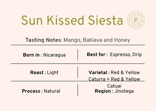 Sun Kissed Siesta