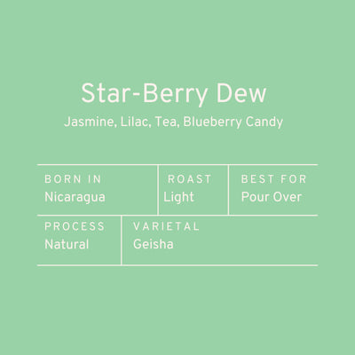 Paddle & Brew Star-Berry Dew (Geisha)