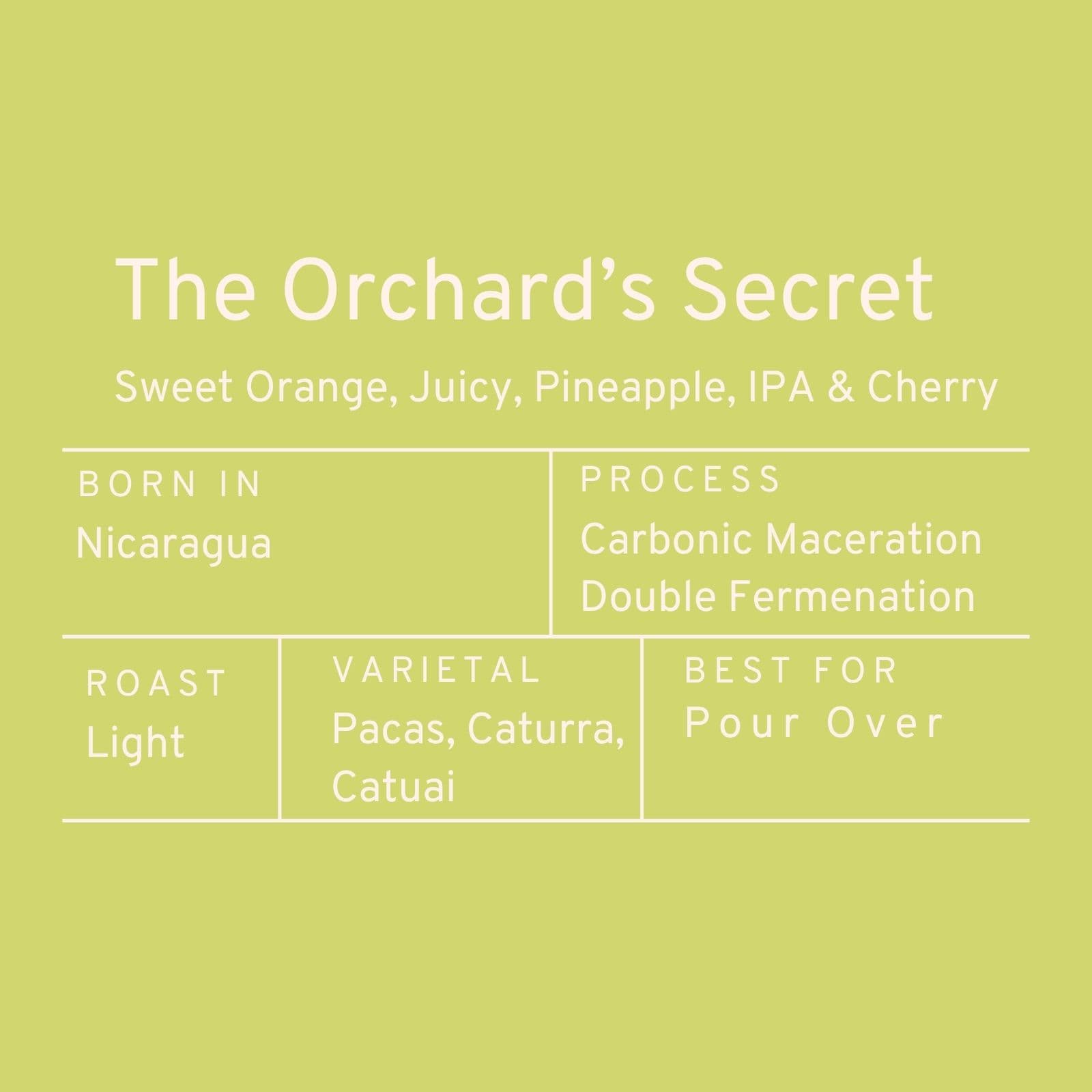 Paddle & Brew The Orchard's Secret