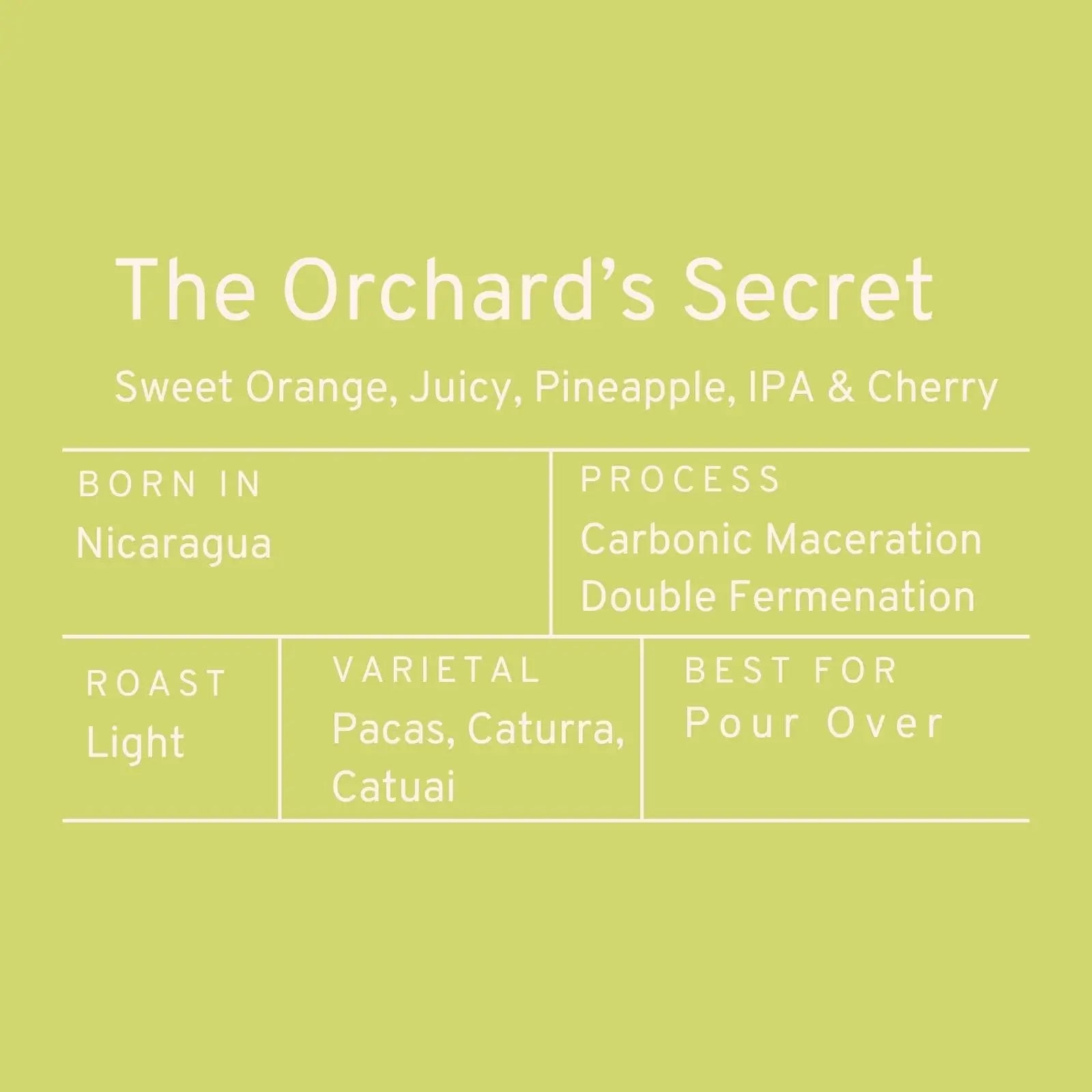 Paddle & Brew The Orchard's Secret