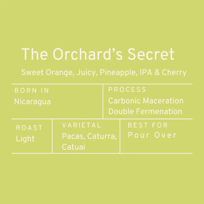 Paddle & Brew The Orchard's Secret