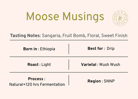The Moose Musing